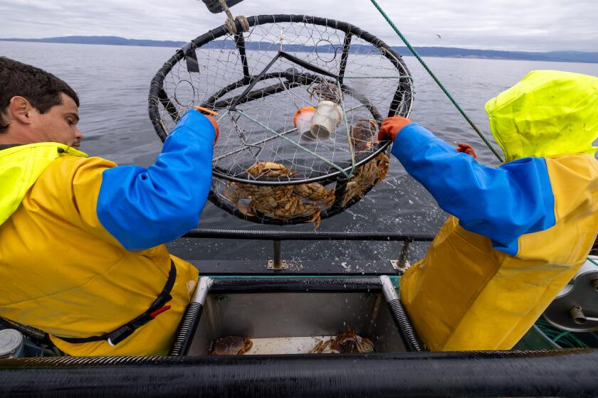 A new view of JFK's Addison's disease - Los Angeles Times