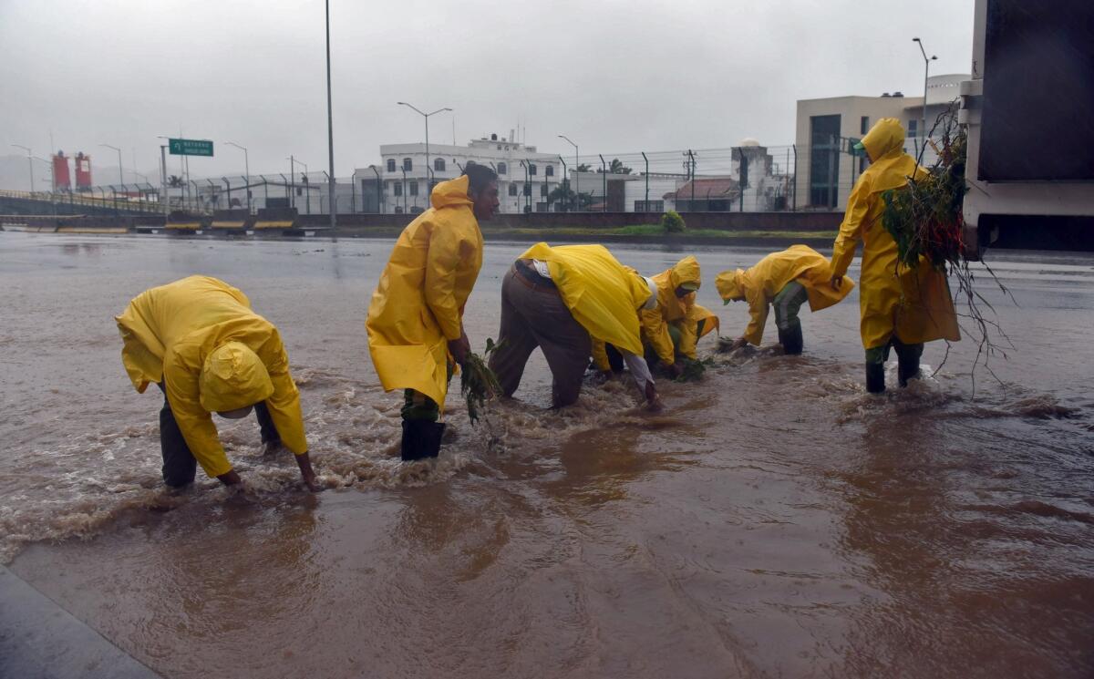 Municipal workers collect branches from a flooded street in Manzanillo, Mexico.