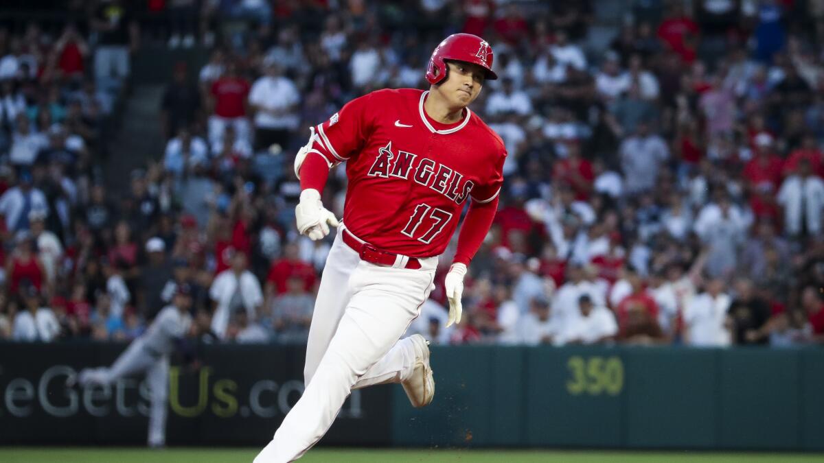 Shohei Ohtani And The Risks Of “Bet The Farm” Business Strategies