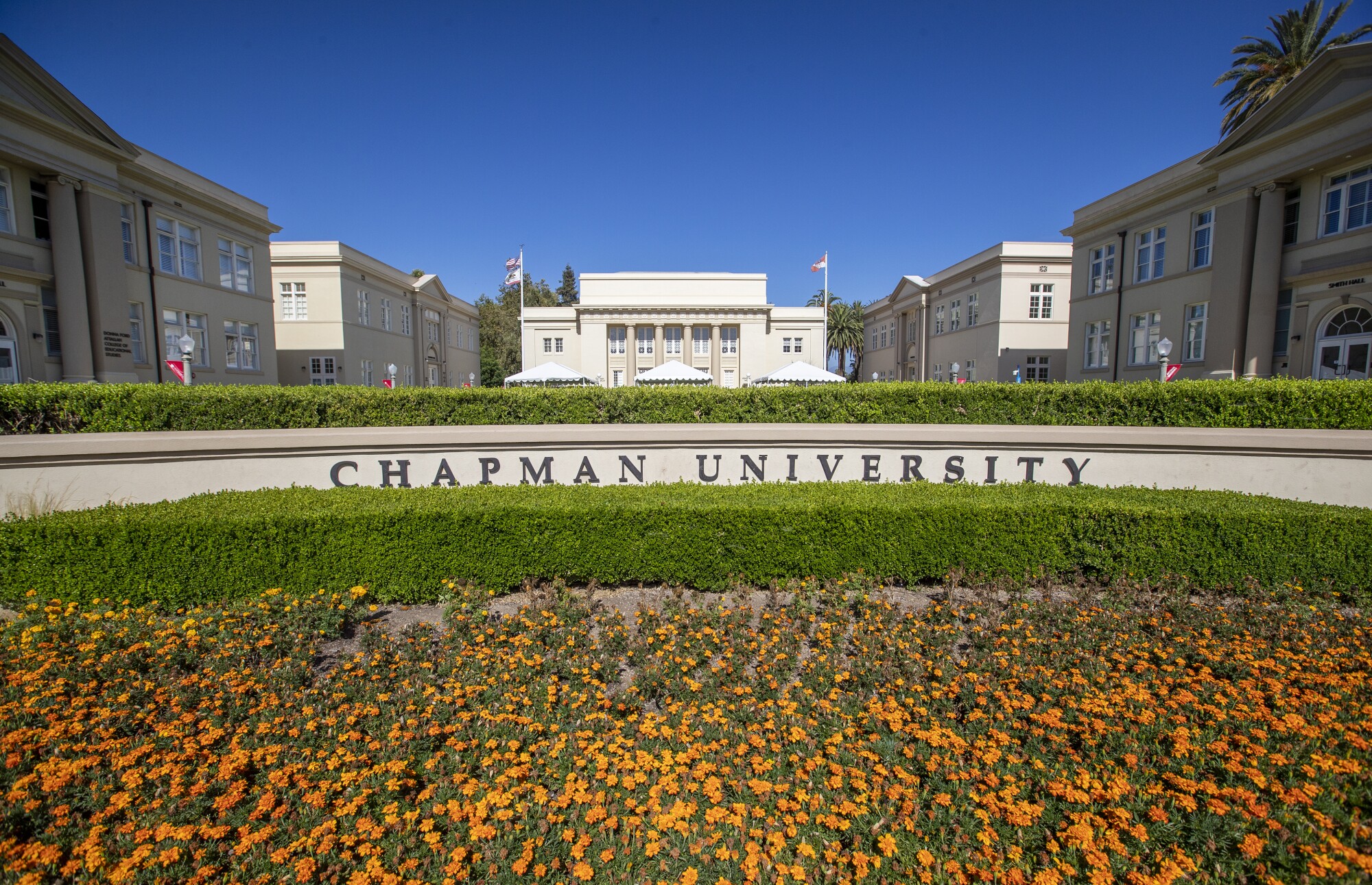 View of Chapman University with Orange Blossom Orchard. 