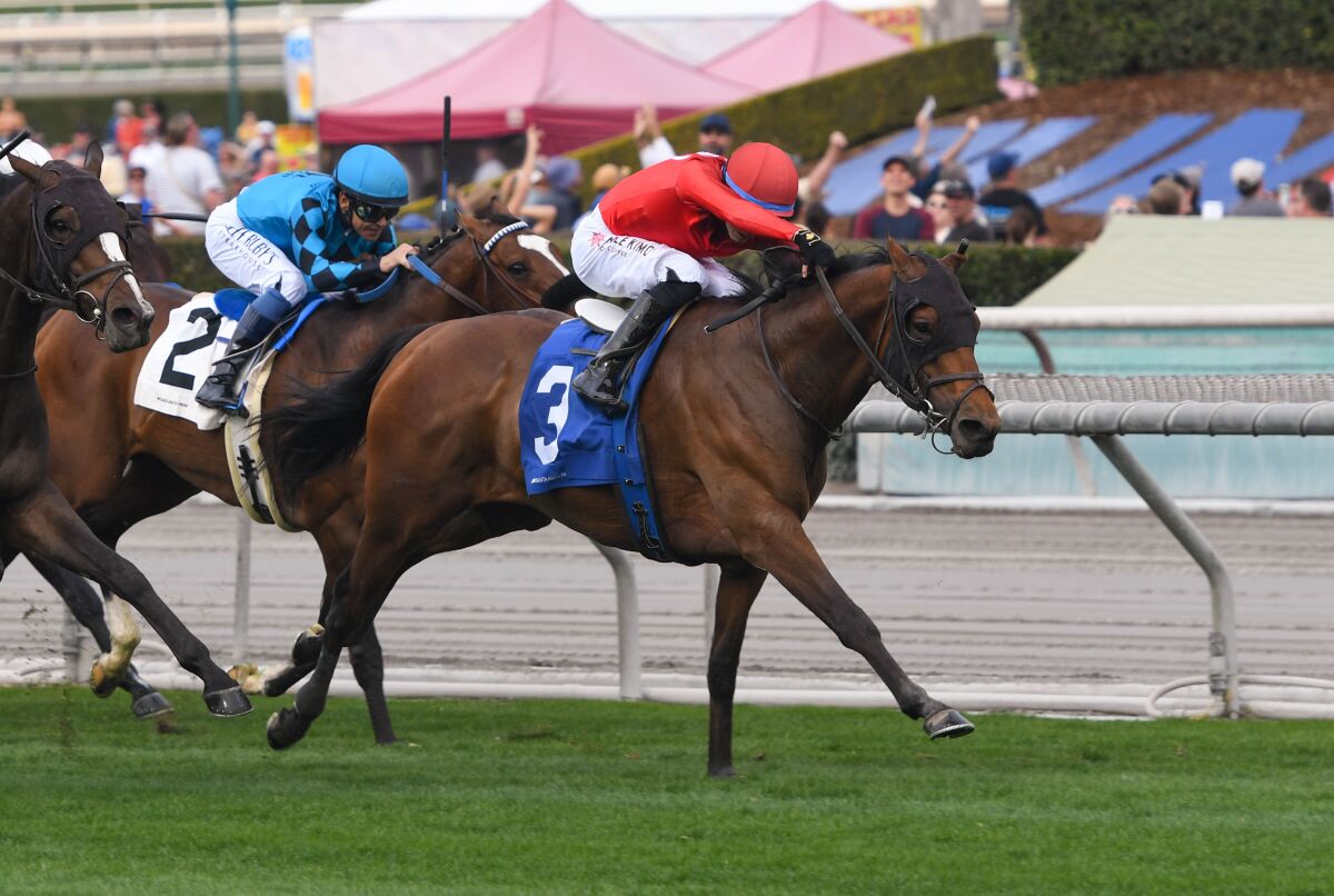 Dicey Mo Chara races to victory in the Grade II, $200,000 San Gabriel Stakes.