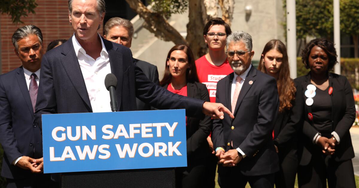 Column: California says its new gun law is about public safety. But what about these women? Column: California says its new gun law is about public safety. But what about these women?