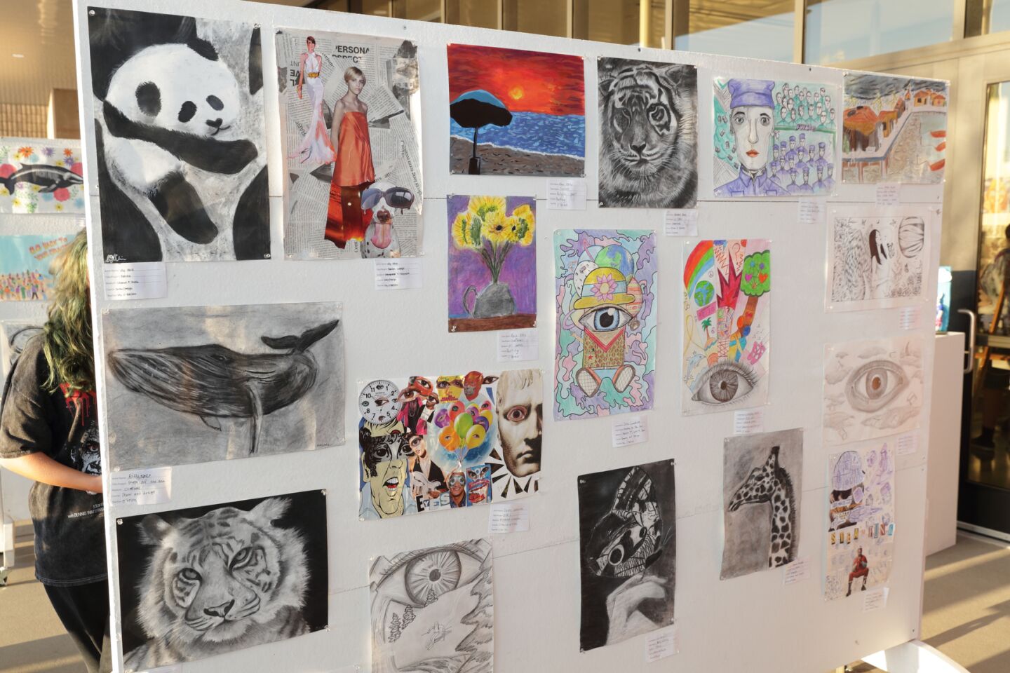 Student projects from the Drawing and Design class