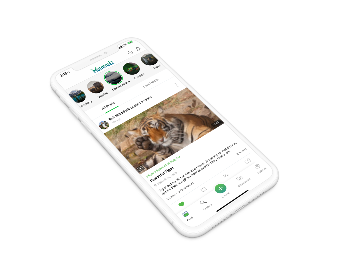 San Diego startup Mammalz is a social network and content sharing platform for wildlife and nature content.