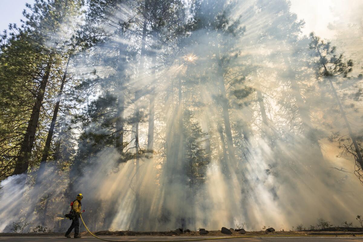 A firefighter monitors a burn operation on Highway 32 to combat the Park fire near Forest Ranch, Calif.