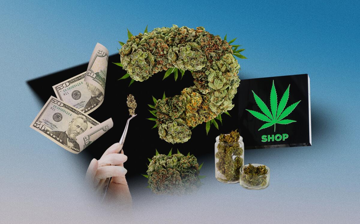 A photo collage of cannabis in question mark shape, 50-dollar bills, a matchbook and a hand holding a nug with tweezers.