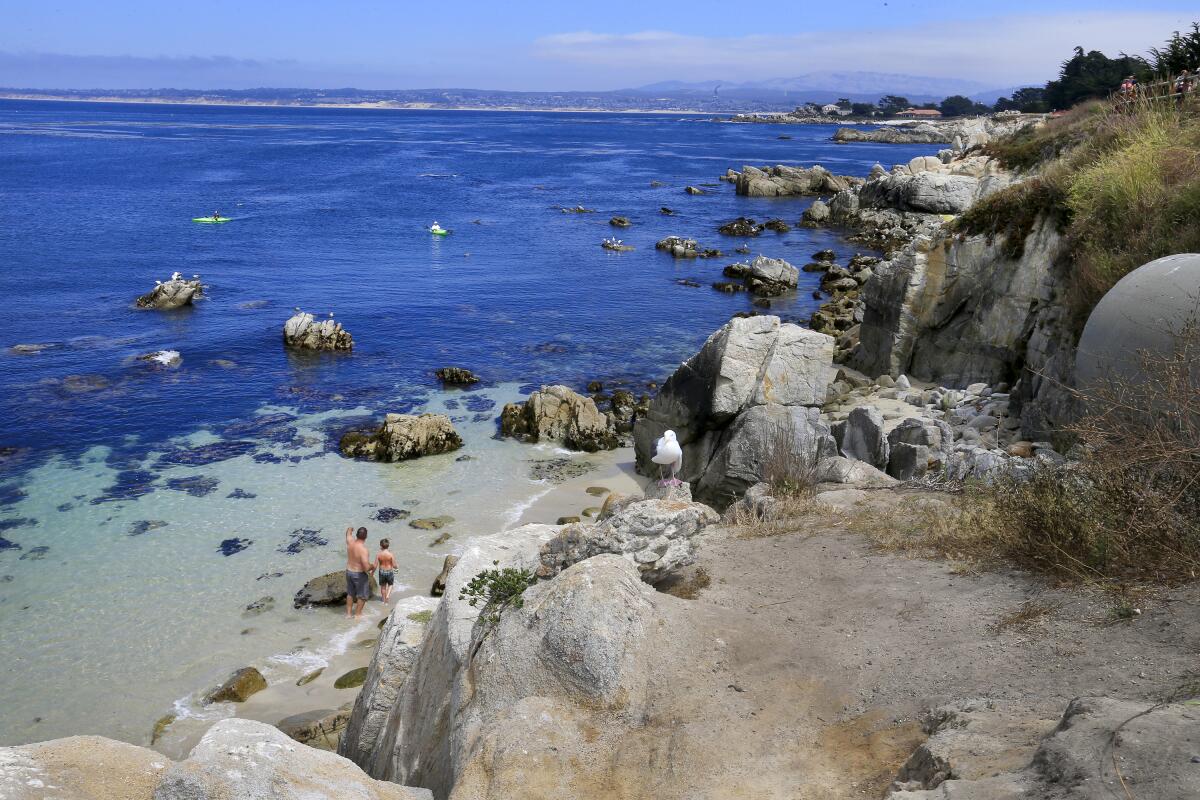 A man and child explore the rocky Monterey Bay shoreline.