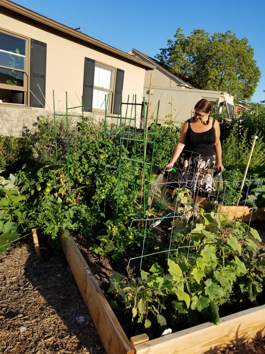 Three Gardeners Find Purpose In Growing Their Own Produce During Pandemic The San Diego Union Tribune