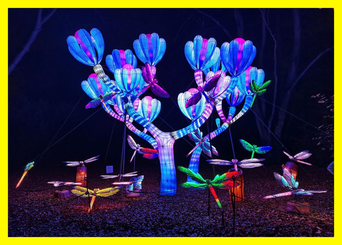 A large glowing cactus sculpture surrounded by glowing dragonfly sculptures