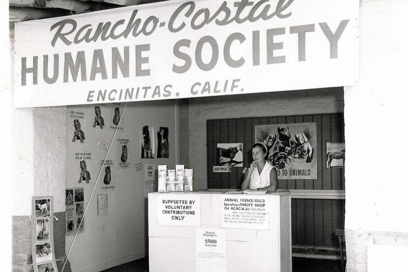 Rancho Coastal Humane Society's first lobby. 