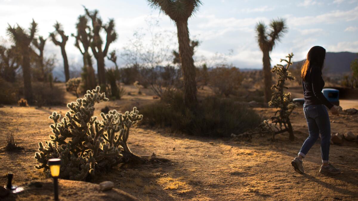 Victoria GeVoian, executive officer of the Institute of Mentalphysics, walks through part of the 400-acre desert landscape used for meditation and group retreats.