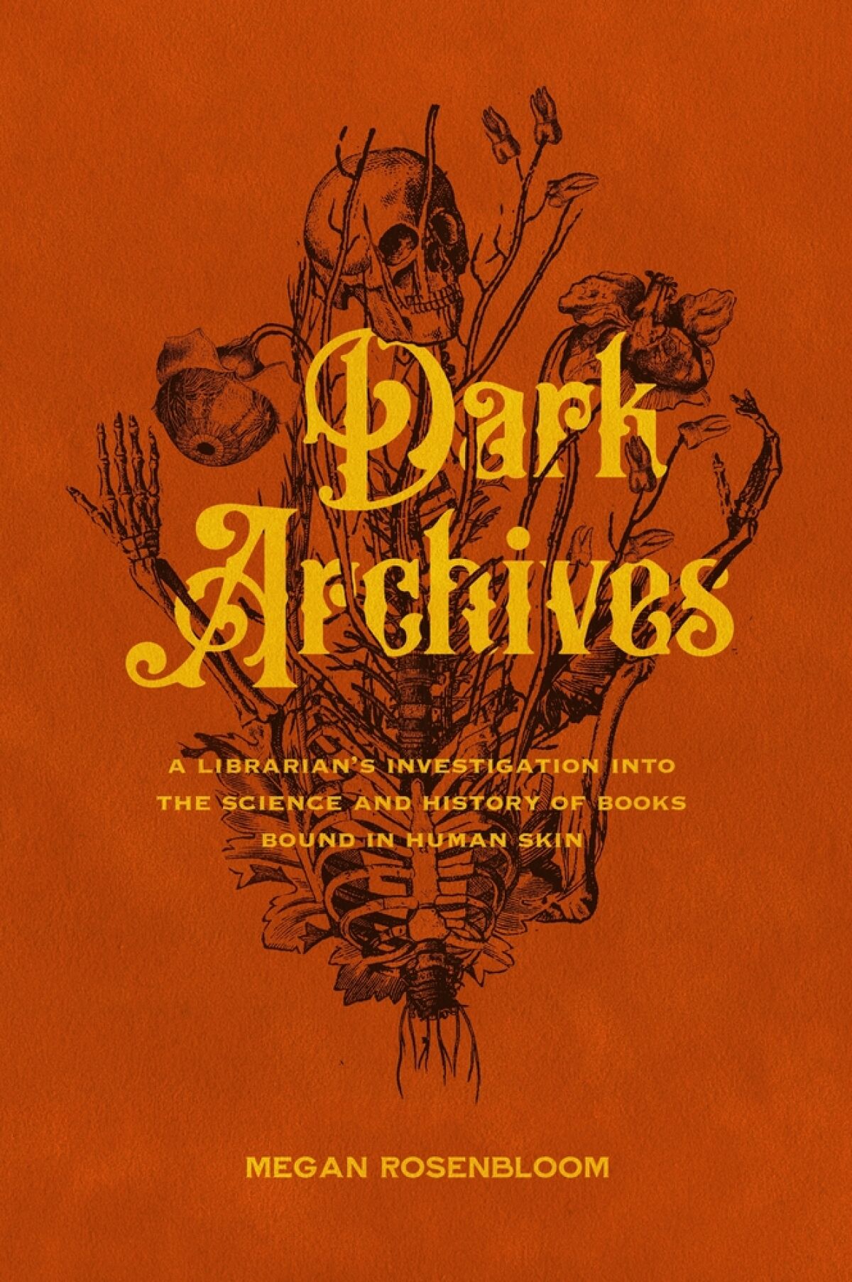 Book jacket for "Dark Archives" by Megan Rosenbloom.