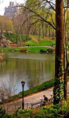 The lagoon on the south side of Central Park.