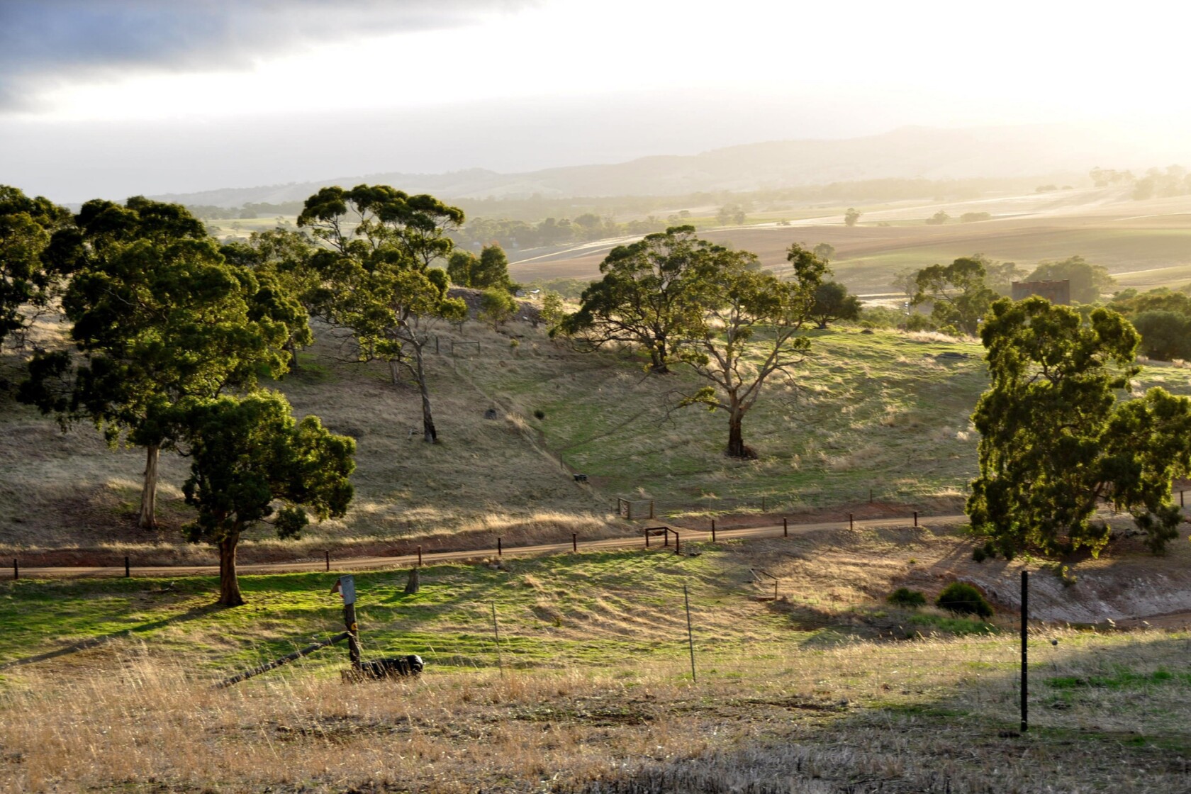 Australia's Barossa Valley wine, food scene grows and old charms remain ...