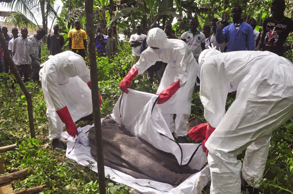 Likely to still be with us for a while: Health workers cover the body of a man suspected of dying from the Ebola virus on the outskirts of Monrovia, Liberia.
