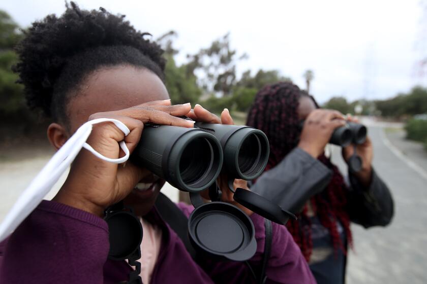 LOS ANGELES, CALIF. - APR. 4, 2022. Birdwatchers associated with the Los Angeles Black Worker Center search for wildlife at Kenneth Hahn State Recreation Area in Los Angeles on Sunday, Apr. 3, 3022. (Luis Sinco / Los Angeles Times)