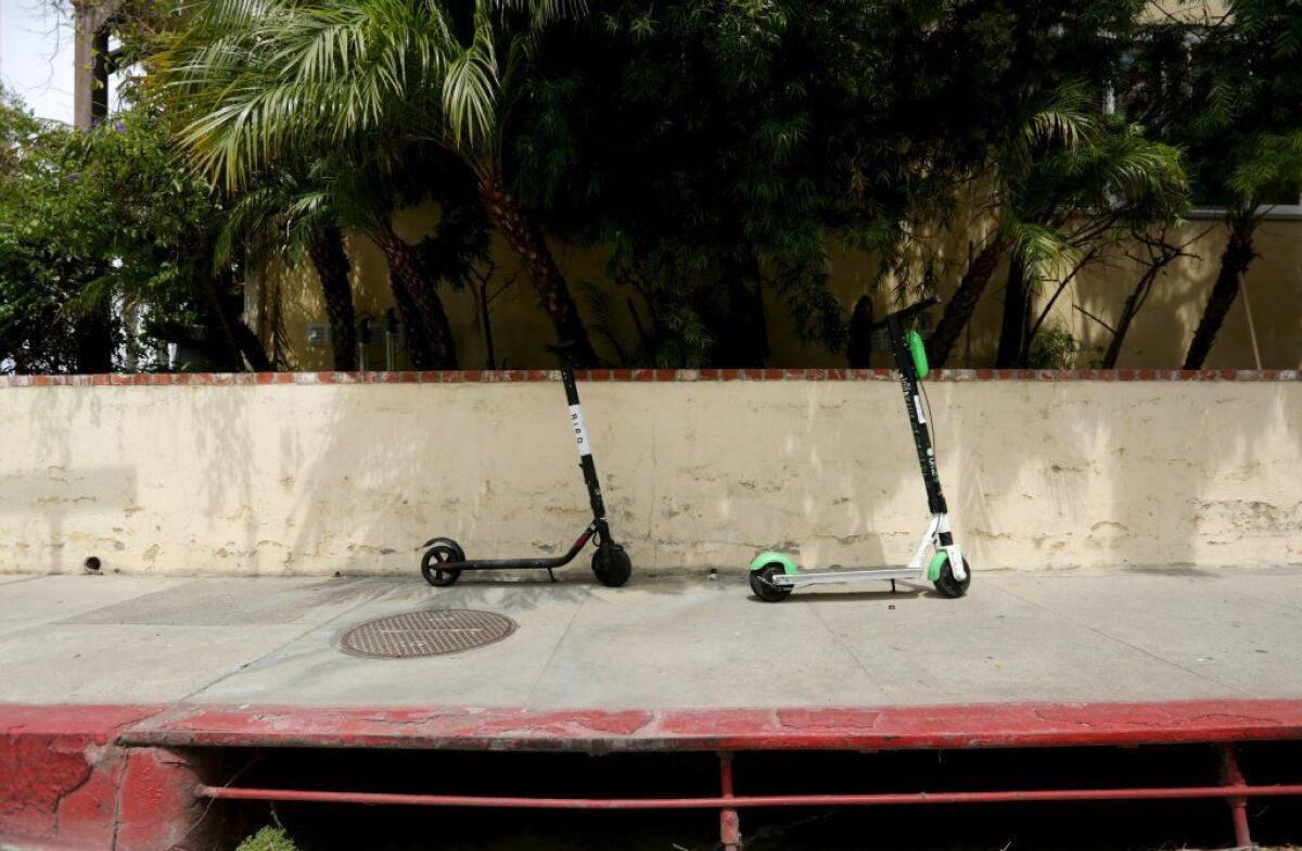 A Bird and a Lime scooter in Santa Monica.