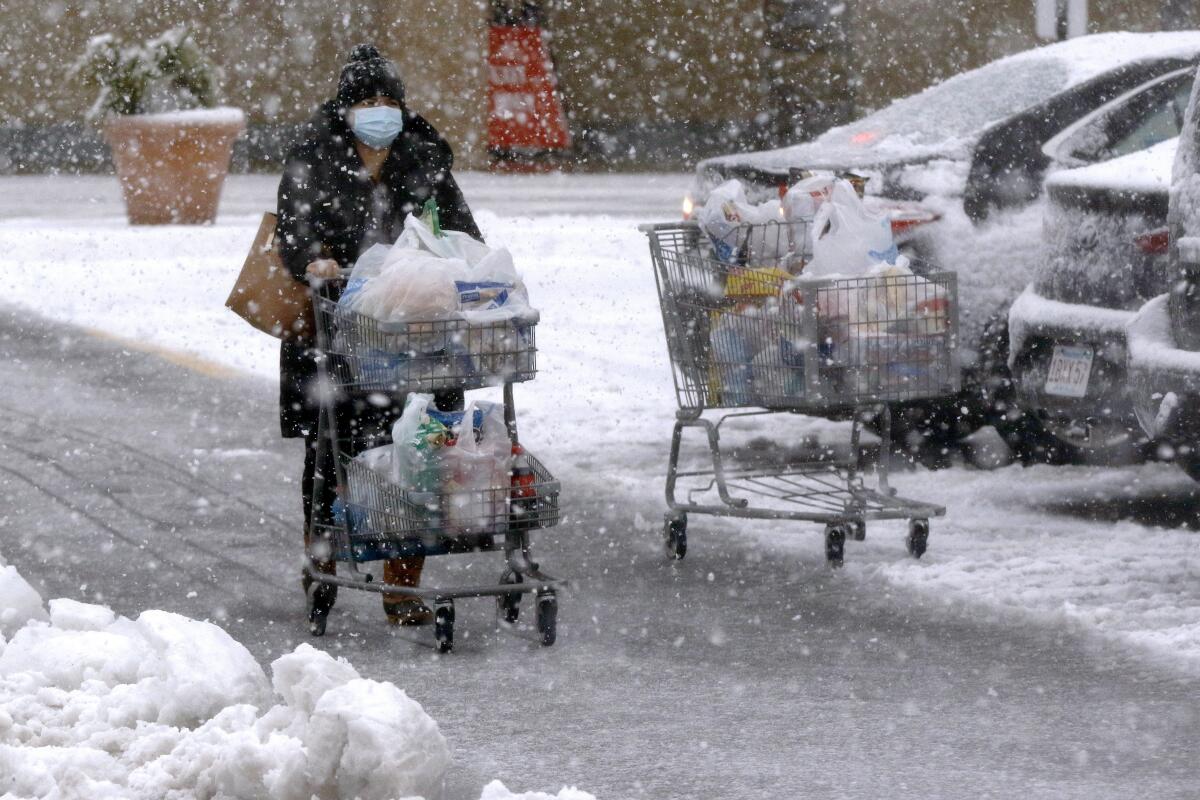 Una persona transporta comestibles en un carrito bajo una fuerte nevada