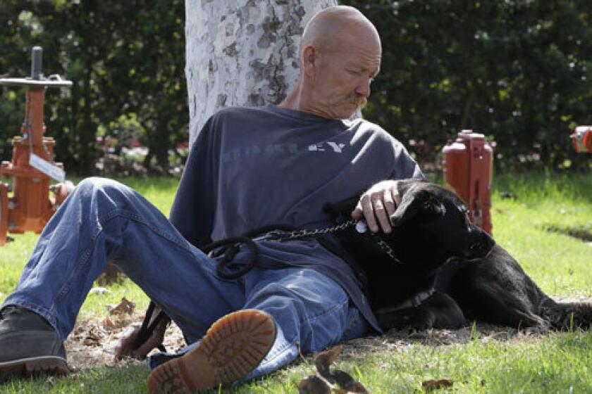 A homeless veteran and his dog. A new bill seeks to provide clothing for homeless veterans.