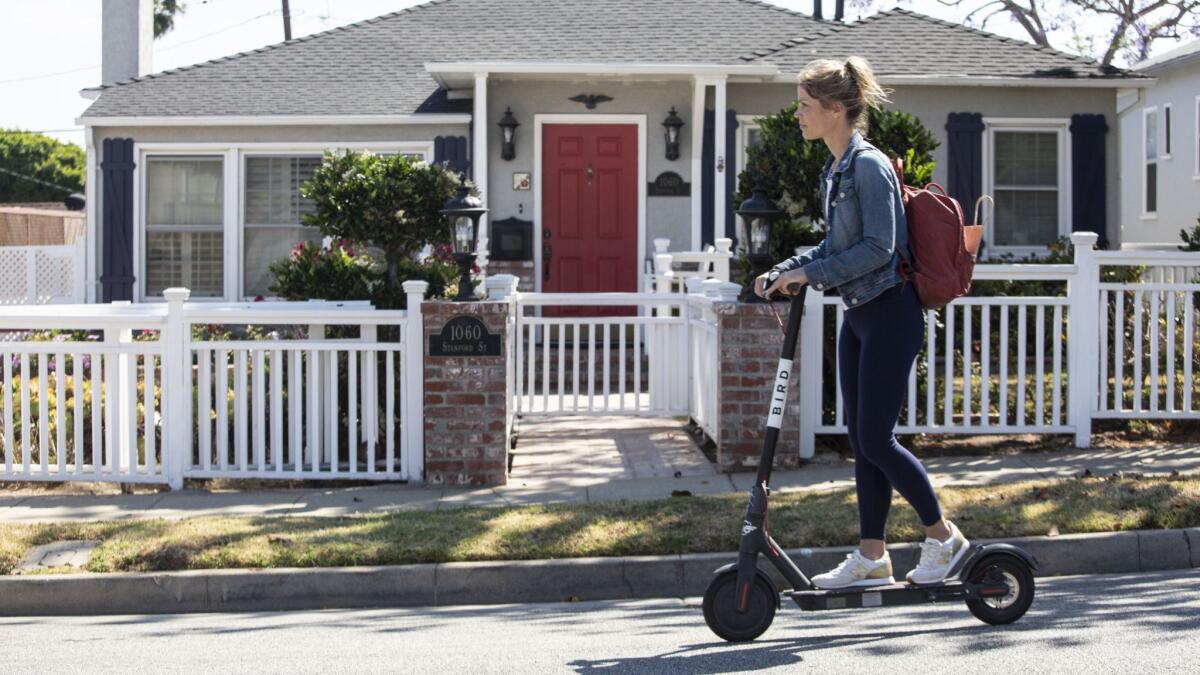 Bird has got cities scrambling to adapt to the company's increasingly popular electric scooters.