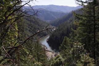 FILE - This March 3, 2020, file photo shows the Klamath River from atop Cade Mountain in the Klamath National Forest, Calif., in Humboldt County. The county was among the first in the state to get the governor's green light to open up restaurants and stores after a two-month statewide lockdown. (AP Photo/Gillian Flaccus, File)