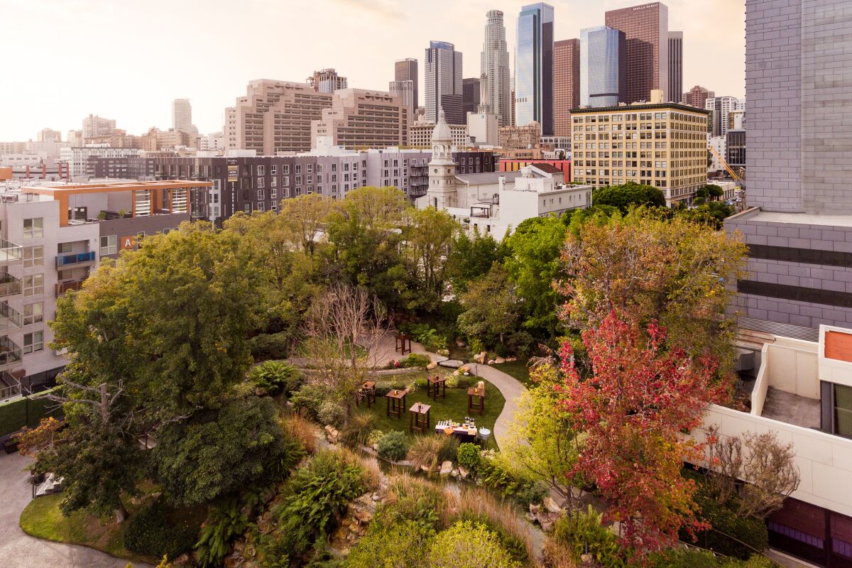 little green forest in the middle of a city