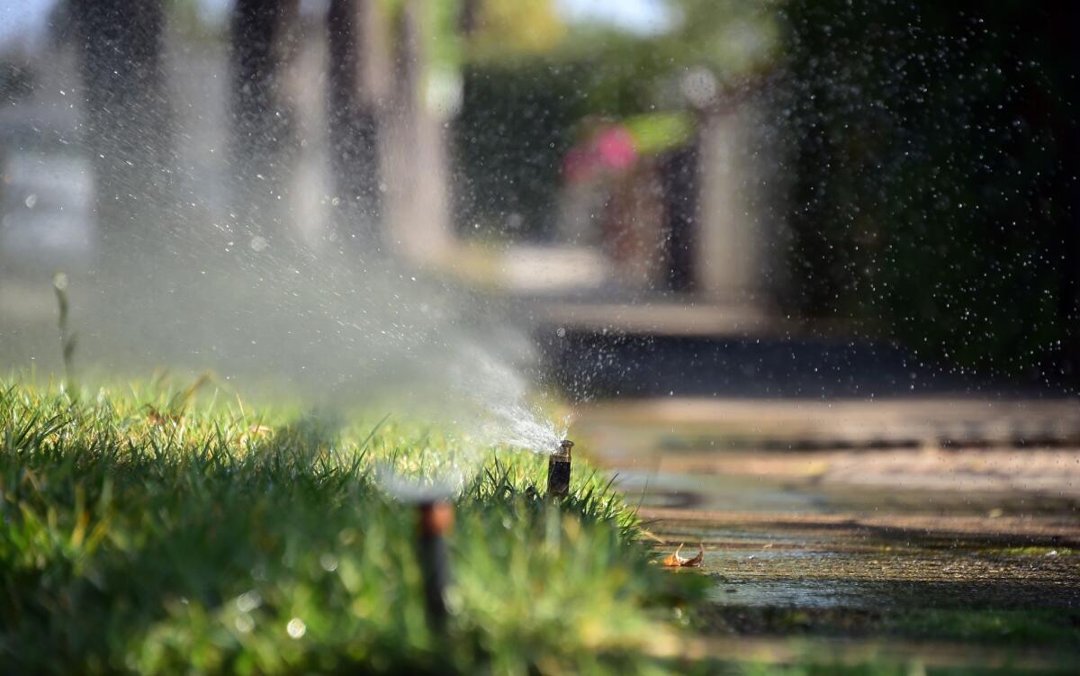 Sprinklers water a patch of grass on the sidewalk in front of a house in Alhambra in July 2014.