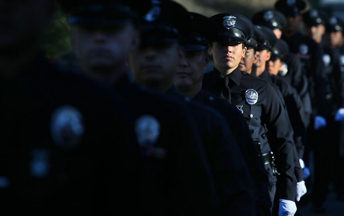A row of police officers line up toward the camera; with sun light shining only on a section of them.