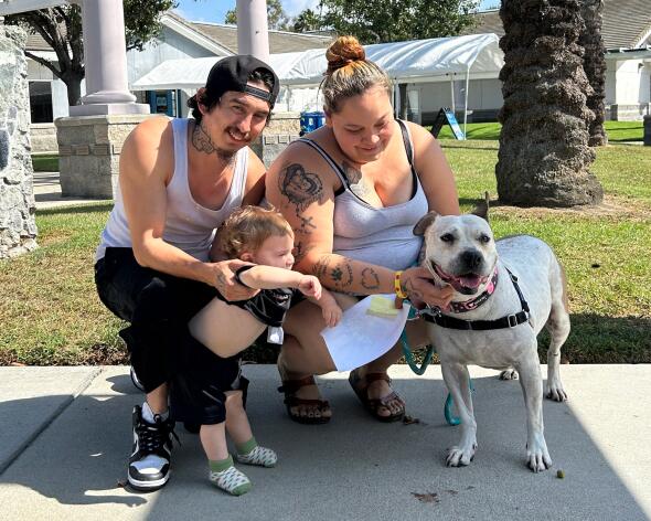 A pit bull named Cinderella waited more than three years in a shelter. Her story has a happy ending
