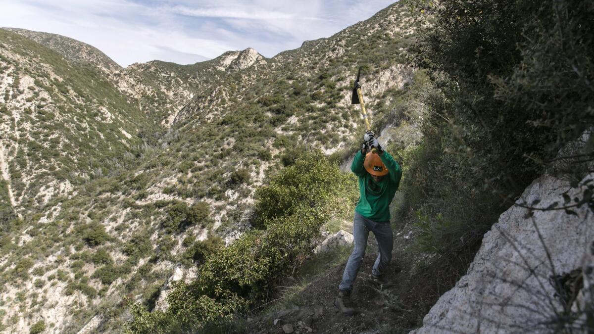 Brad Moore, 29, a mountain biker and a mechanical engineer at the Jet Propulsion Lab, works on clearing a section of the path.