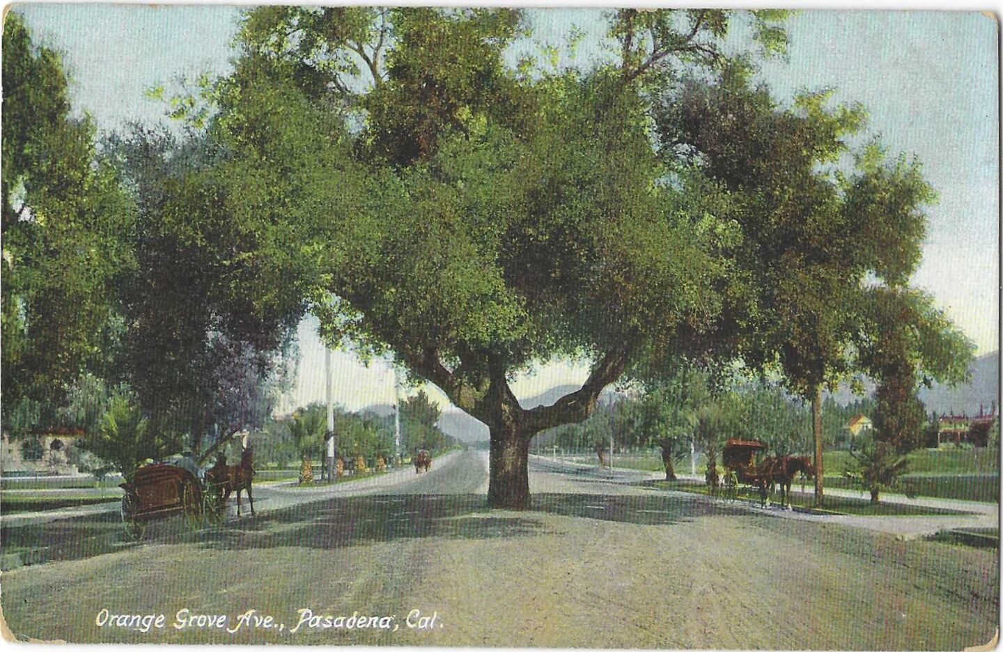 Orange Grove Ave., Pasadena, Cal.
