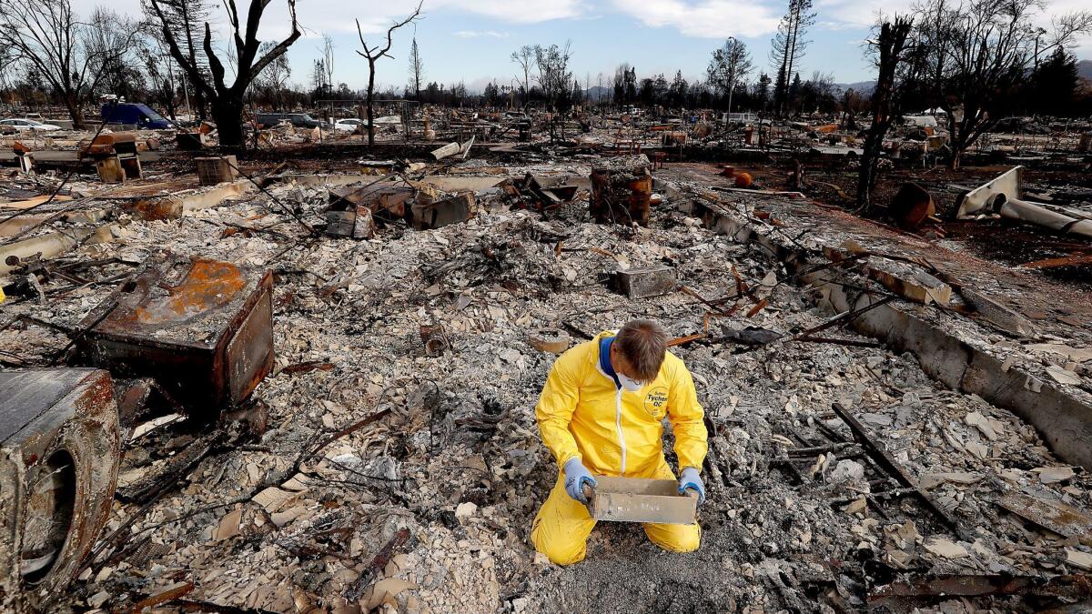 Santa Rosa resident Mark Sharp sifts through the remains of his charred home in search of his wife's wedding band on Oct. 20.