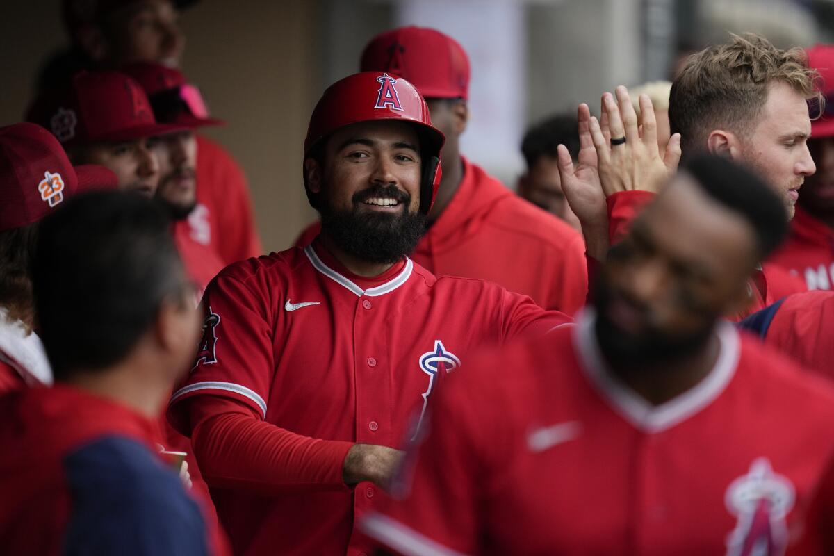 Angels' Anthony Rendon celebrates in the dugout after scoring off of a home run hit by Jo Adell.