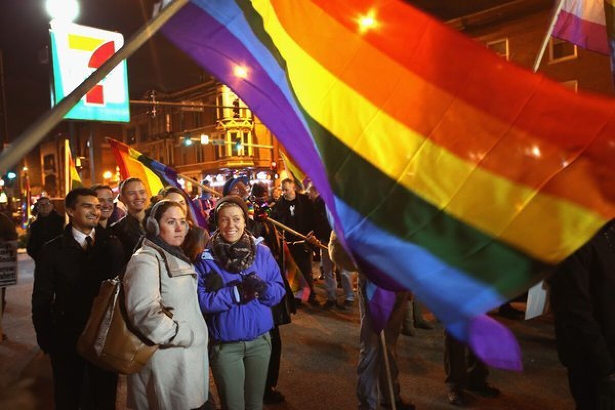 Supporters of same-sex marriage celebrate in Chicago after the Illinois General Assembly passed a gay marriage bill on November 7. Four same-sex couples in Idaho are suing in that state over the right to marry.