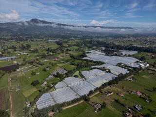 An aerial view of greenhouses surrounded by swaths of green and trees