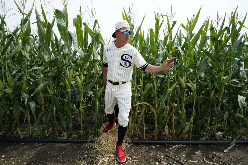Chicago White Sox third baseman Jake Lamb walks through a cornfield before a baseball game against the New York Yankees, Thursday, Aug. 12, 2021, in Dyersville, Iowa. The Yankees and White Sox are playing at a temporary stadium in the middle of a cornfield at the Field of Dreams movie site, the first Major League Baseball game held in Iowa. (AP Photo/Charlie Neibergall)