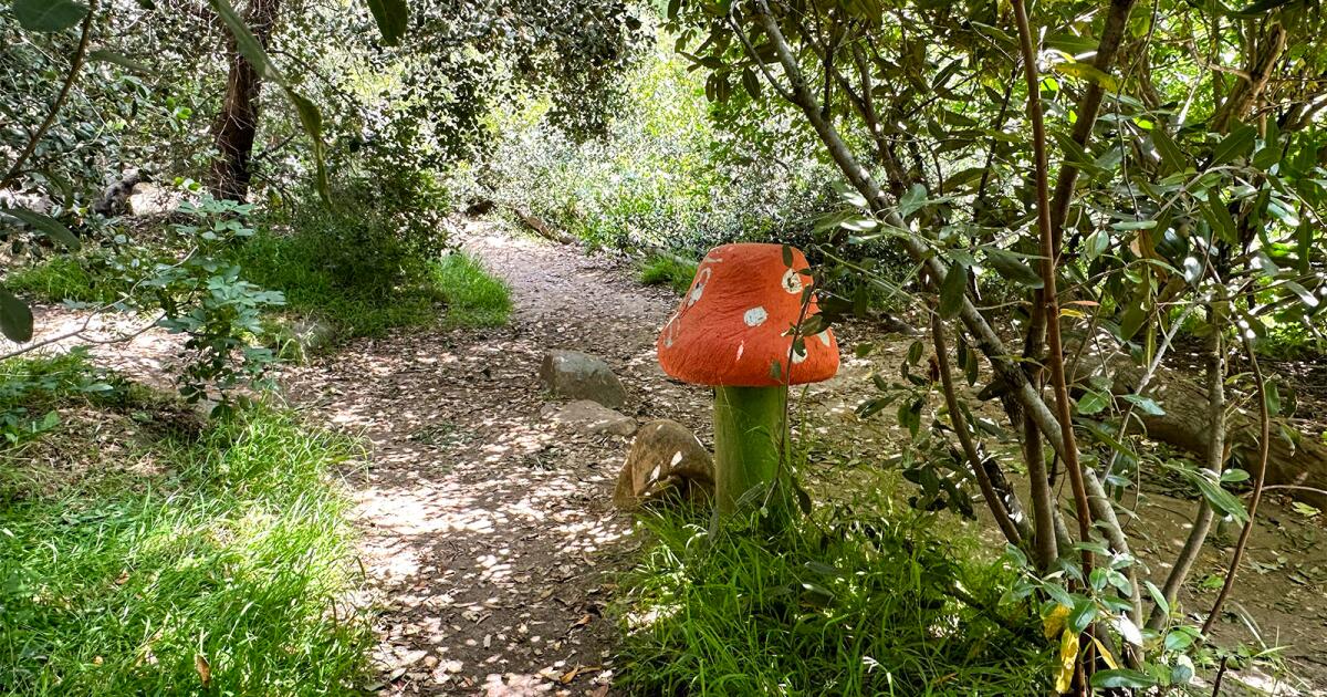 L.A. contractors razed a native plant garden for kids. What happens now?