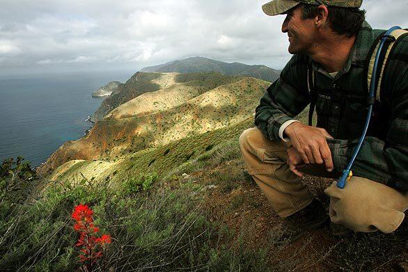 Kevin Ryan, trail coordinator for the Catalina Island Conservancy, pauses along the 37-mile Trans-Catalina Island Trail, which he helped design and build.