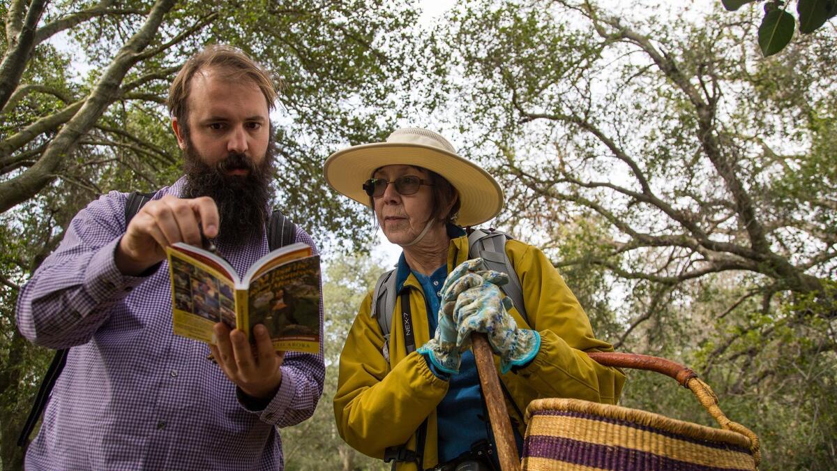 Los Angeles Mycological Society members Andy Wallace and Carol Snyder consult the mushroom book "All That the Rain Promises and More."