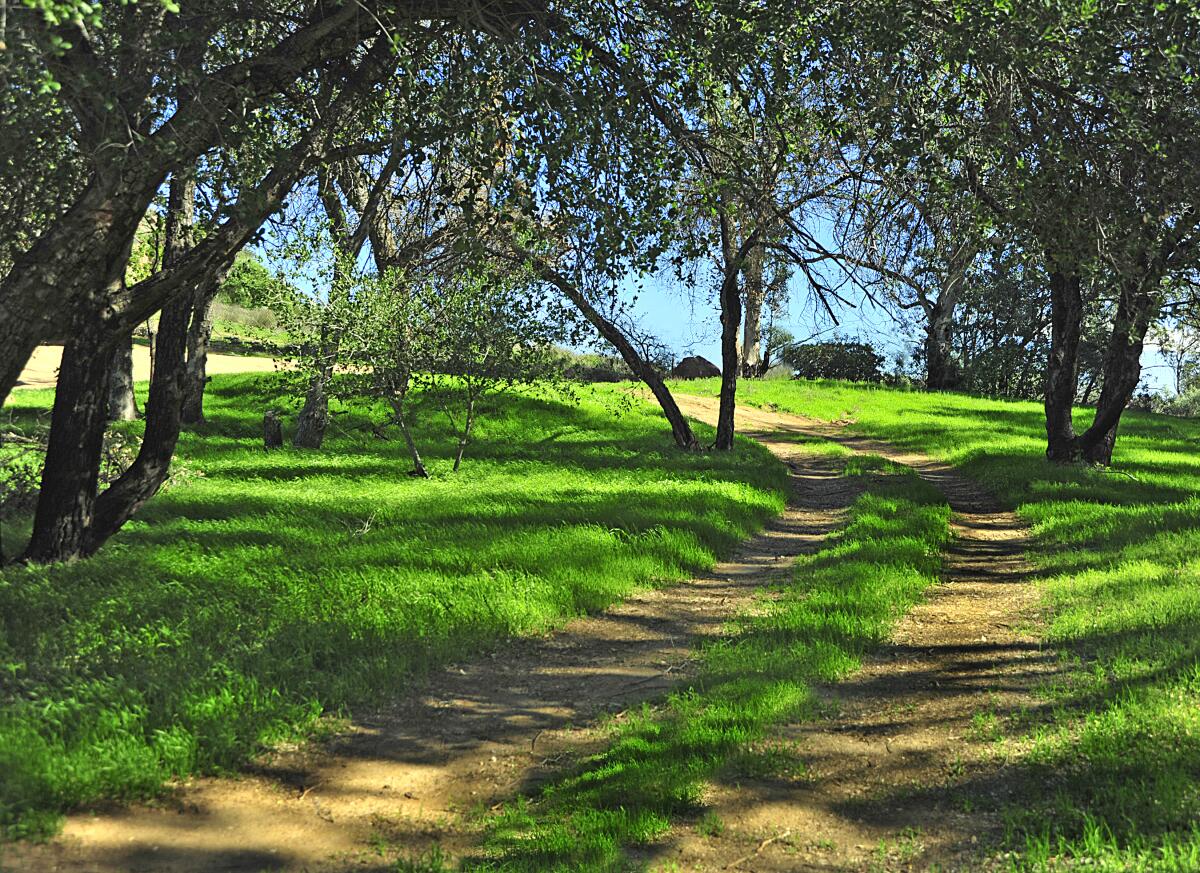 A 19th-century stagecoach route runs through Santa Susana Pass State Historic Park, which is part of the "Rim of the Valley."