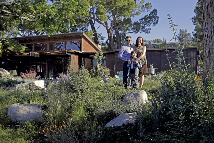 For 20 years, landscape designers Cassy and Kirk Aoyagi have proselytized the benefits of California native plants. Their personal garden in Tujunga is their most persuasive argument.