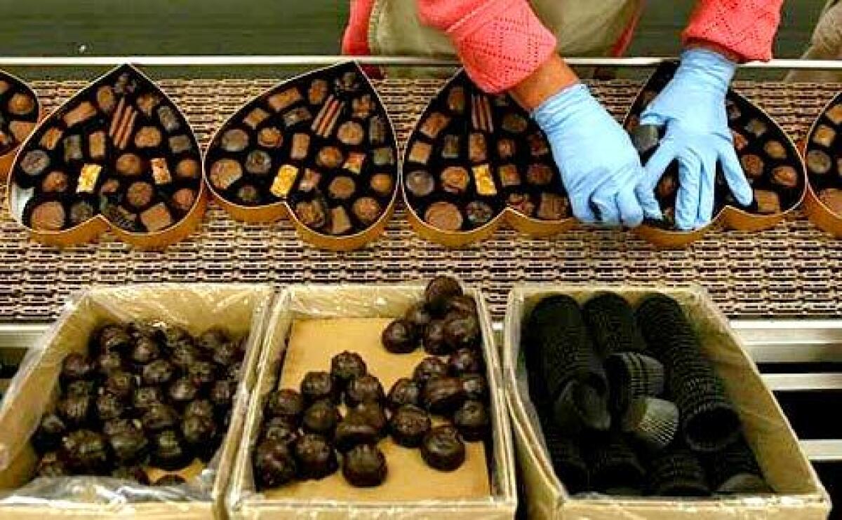 A gloved worker works with boxes of chocolates.