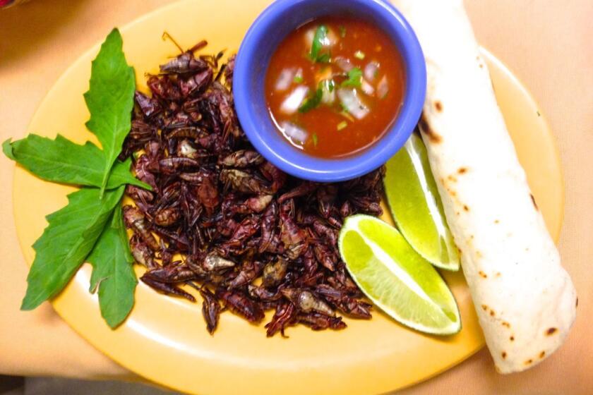 Monte Alban serves crickets only a few months out of the year, when they're at their plumpest.
