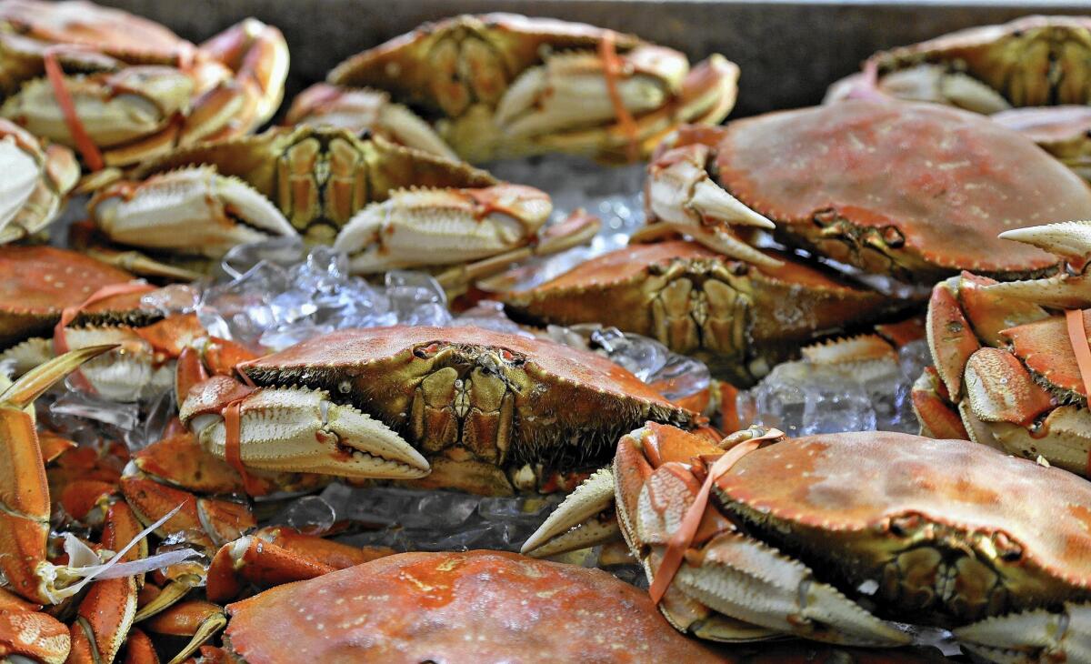 Imported Dungeness crabs are for sale at Fisherman's Wharf as the local crab season is closed.