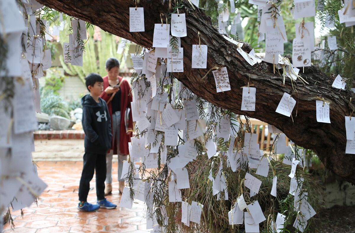 Visitors read dozens of messages in the Wishing Tree.