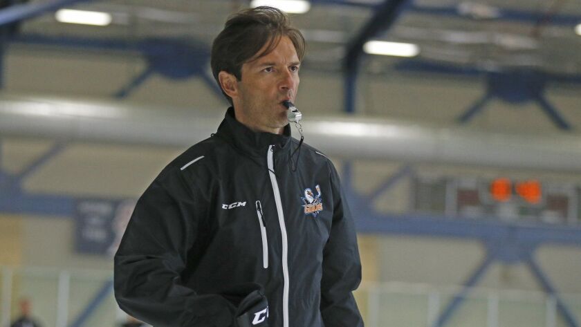 The Ducks are expected to hire San Diego Gulls coach Dallas Eakins as their next coach.