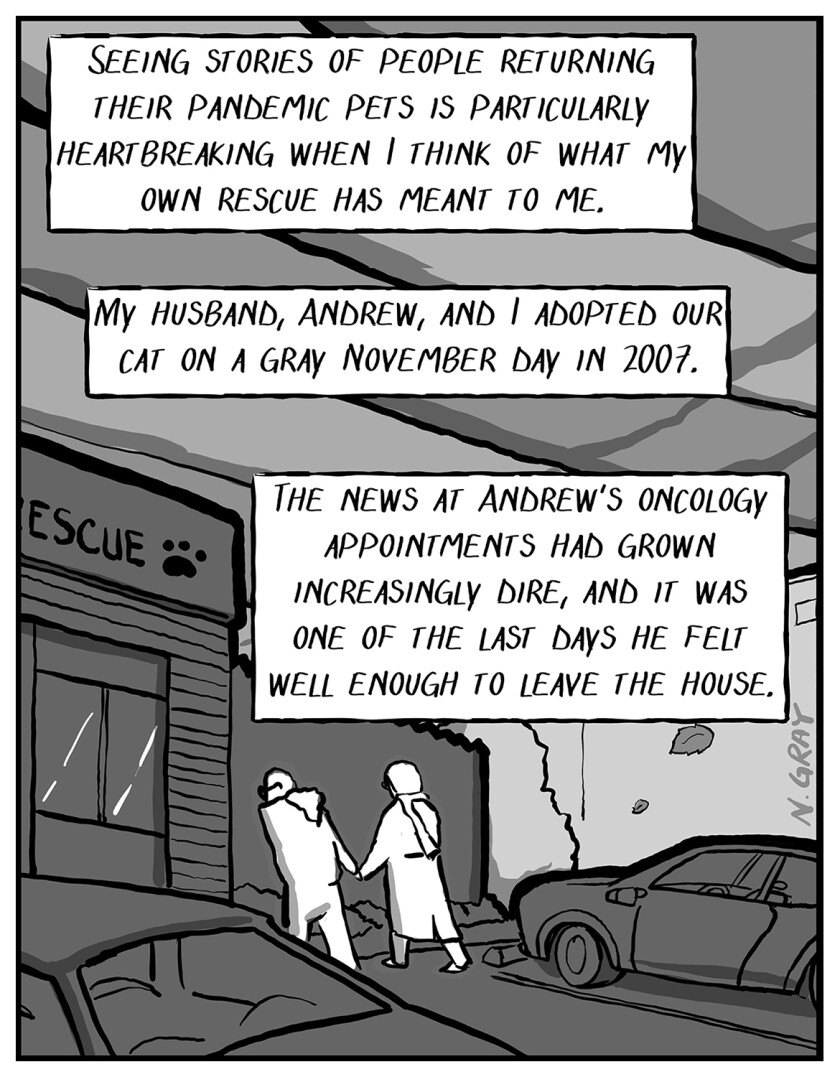 Illustration of a man and a woman walking into a pet rescue