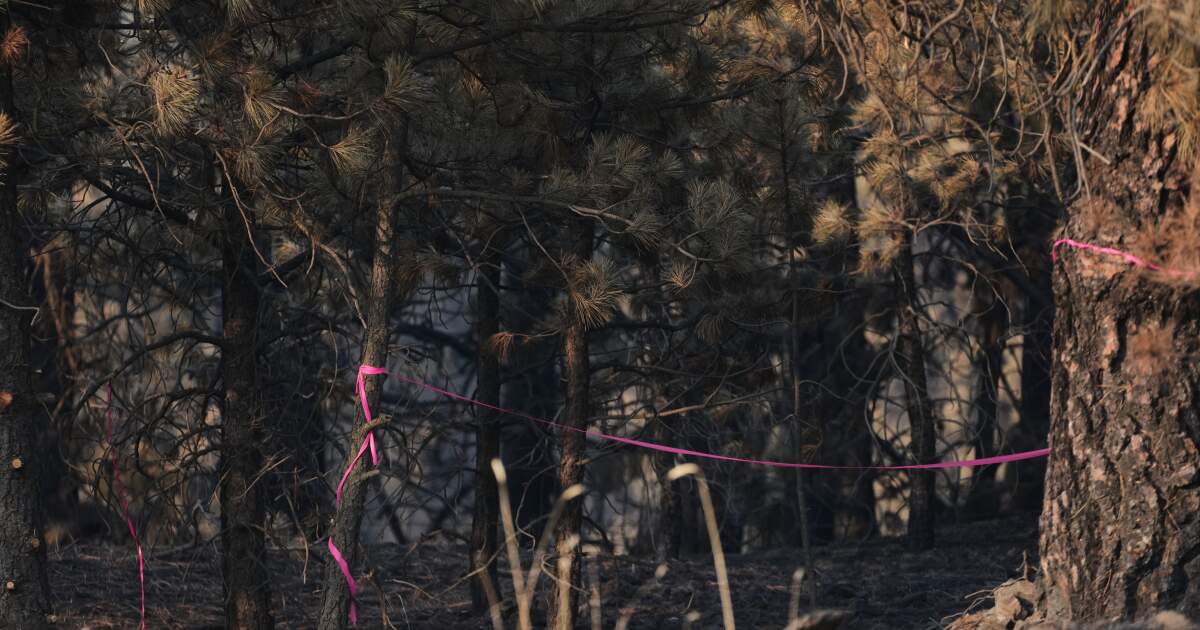 Man charged with arson in Washington told police he planned wildfire for weeks