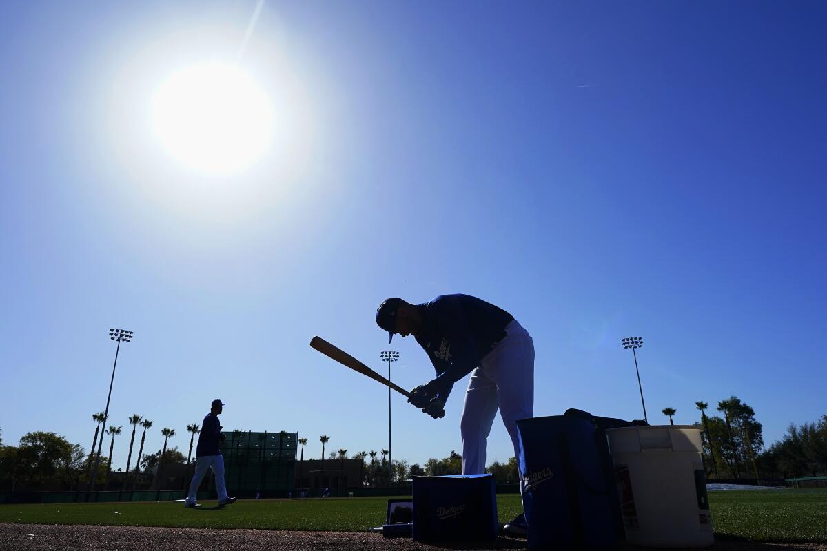 Dodgers catcher Patrick Mazeika preps his bat for batting practice during spring training workouts.