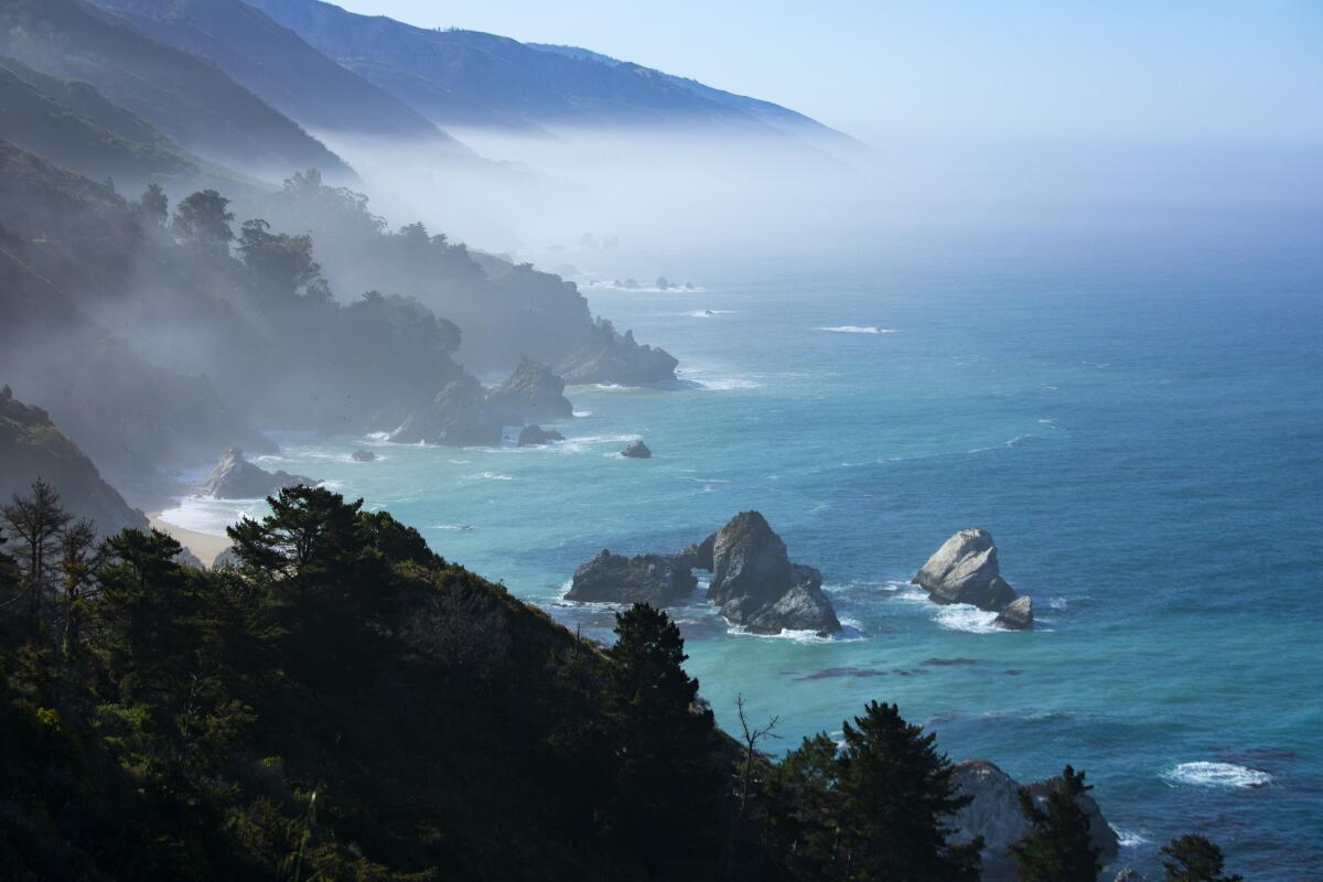 A misty view of the ocean from tree-covered cliffs